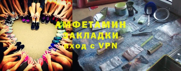 СК Алексин