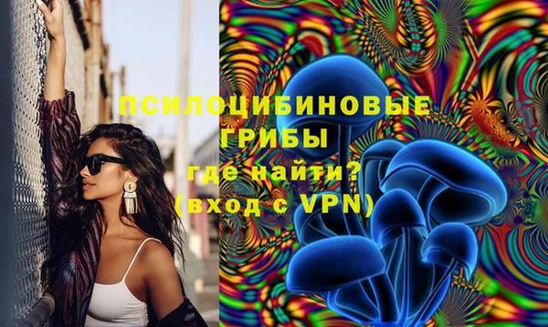прущие крисы Елабуга
